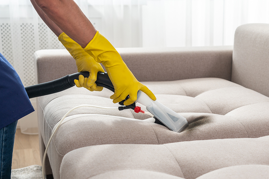 نظافة فائقة للفلل