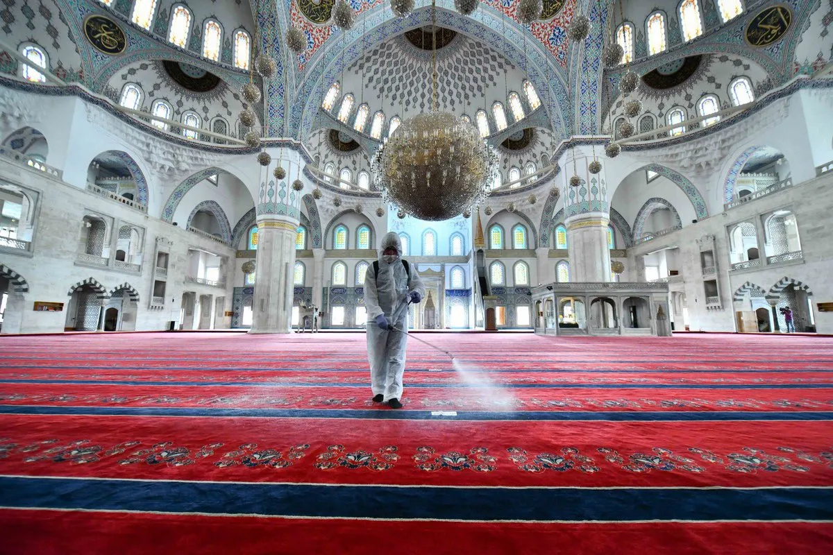 تنظيف مساجد وقصور الرياض